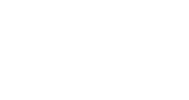 So Fetch logo